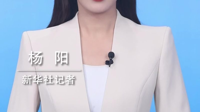 ERP实施费用节省之道：揭秘五大高效策略**